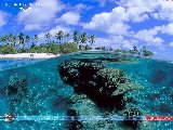 Paysages - Aquatique - 215