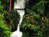 Paysages - Aquatique - 216