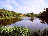 Paysages - Aquatique - 217