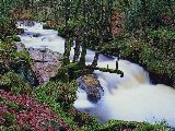 Paysages - Aquatique - 221