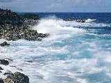 Paysages - Aquatique - 222