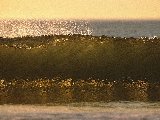 Paysages - Aquatique - 230