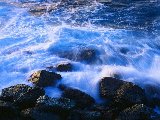 Paysages - Aquatique - 231