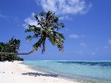 Paysages - Aquatique - 236