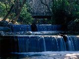 Paysages - Aquatique - 238