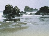 Paysages - Aquatique - 239