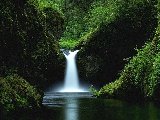 Paysages - Aquatique - 240
