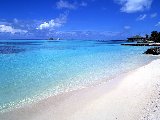 Paysages - Aquatique - 241