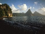 Paysages - Aquatique - 242