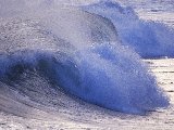 Paysages - Aquatique - 245