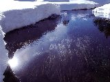 Paysages - Aquatique - 247