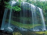 Paysages - Aquatique - 248