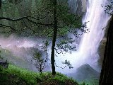 Paysages - Aquatique - 249