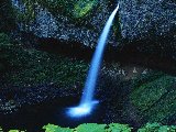 Paysages - Aquatique - 250