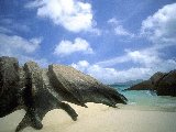 Paysages - Aquatique - 251