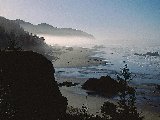 Paysages - Aquatique - 253