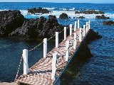 Paysages - Aquatique - 258