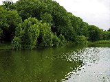 Paysages - Aquatique - 259