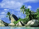 Paysages - Aquatique - 262