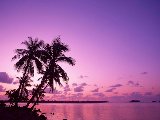 Paysages - Aquatique - 264