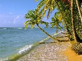 Paysages - Aquatique - 265