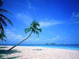 Paysages - Aquatique - 269