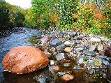 Paysages - Aquatique - 270