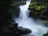 Paysages - Aquatique - 272