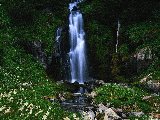 Paysages - Aquatique - 274