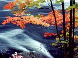 Paysages - Aquatique - 276