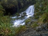 Paysages - Aquatique - 281