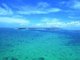 Paysages - Aquatique - 289