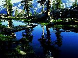 Paysages - Aquatique - 298