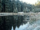 Paysages - Aquatique - 299