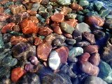 Paysages - Aquatique - 301