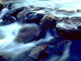 Paysages - Aquatique - 303