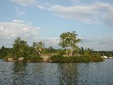 Paysages - Aquatique - 307