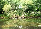 Paysages - Aquatique - 308