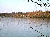Paysages - Aquatique - 309