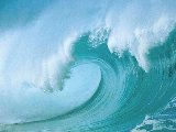 Paysages - Aquatique - 310