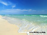 Panama Beach Florida