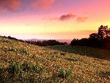 Paysages - Ciels - 236