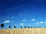 Paysages - Ciels - 242