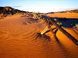 Paysages - Desert - 024