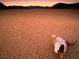 Paysages - Desert - 025