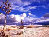 Paysages - Desert - 026