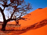 Paysages - Desert - 027