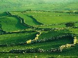 Paysages - Montagne - 134