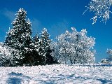 Paysages - Hiver - 032