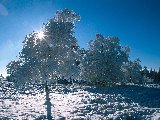Paysages - Hiver - 033